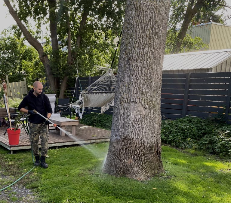 Exterminateur arrosant le tour d'un arbre.