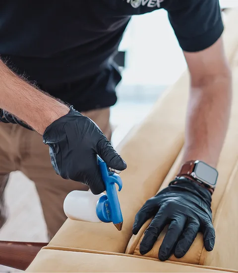 Exterminateur appliquant un pesticide ecologique sur un divant.