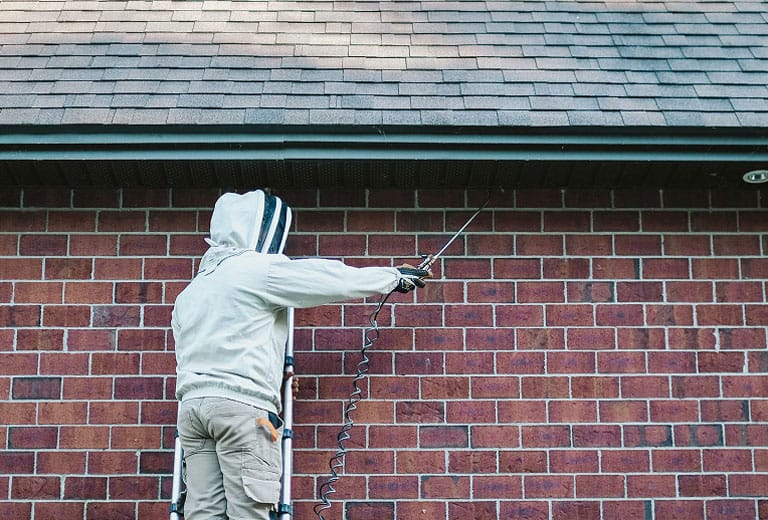 Exterminateur dans une echelle qui arrose une corniche de maison.
