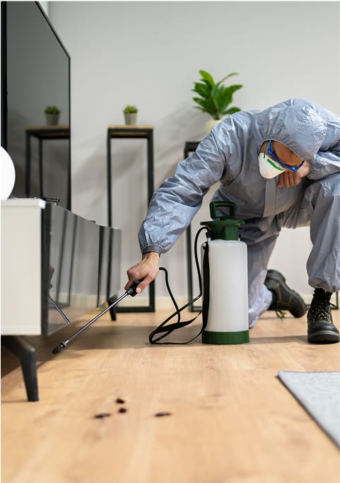 Exterminateur effectuant un traitement a l'interieur.